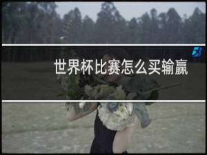 世界杯比赛怎么买输赢