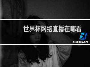 世界杯网络直播在哪看