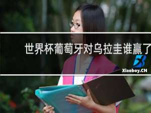 世界杯葡萄牙对乌拉圭谁赢了