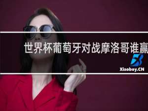世界杯葡萄牙对战摩洛哥谁赢