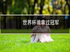 世界杯谁拿过冠军