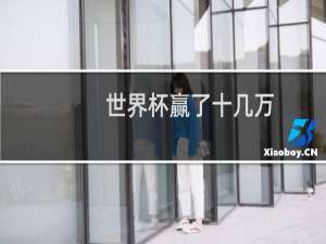世界杯赢了十几万