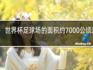 世界杯足球场的面积约7000公顷对吗