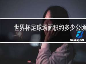 世界杯足球场面积约多少公顷