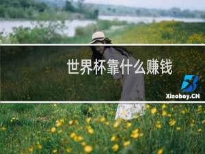 世界杯靠什么赚钱