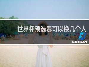 世界杯预选赛可以换几个人