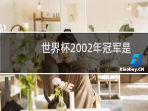 世界杯2002年冠军是谁