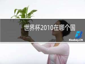 世界杯2010在哪个国家
