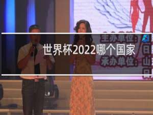 世界杯2022哪个国家举行