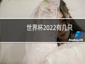 世界杯2022有几只