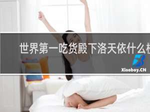 世界第一吃货殿下洛天依什么梗