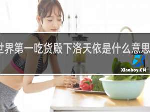世界第一吃货殿下洛天依是什么意思什么梗