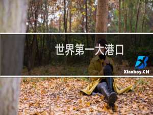 世界第一大港口