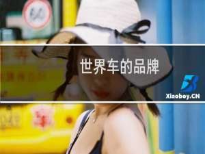 世界车的品牌