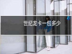 世纪龙卡一包多少
