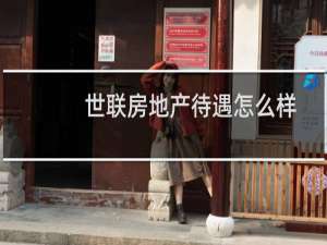 世联房地产待遇怎么样