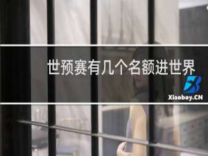 世预赛有几个名额进世界杯