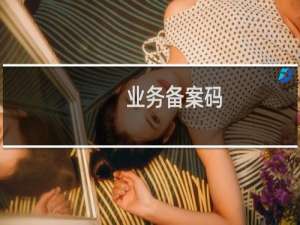 业务备案码，在哪里看-备案平台