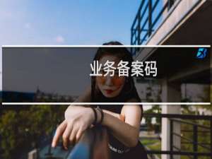 业务备案码----这里填什么