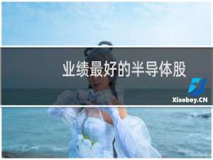 业绩最好的半导体股