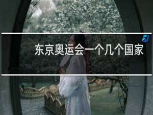 东京奥运会一个几个国家参加