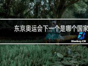 东京奥运会下一个是哪个国家