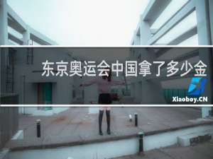 东京奥运会中国拿了多少金