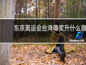 东京奥运会台湾得奖升什么旗