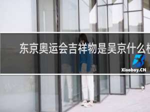 东京奥运会吉祥物是吴京什么梗