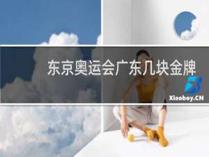 东京奥运会广东几块金牌