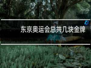 东京奥运会总共几块金牌