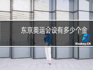 东京奥运会设有多少个金牌