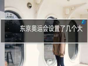 东京奥运会设置了几个大项