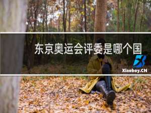 东京奥运会评委是哪个国家的