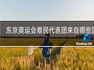 东京奥运会难民代表团来自哪些国家