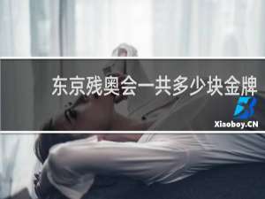 东京残奥会一共多少块金牌