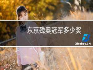 东京残奥冠军多少奖