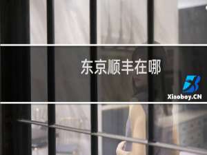 东京顺丰在哪