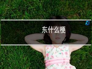 东什么梗