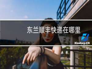 东兰顺丰快递在哪里