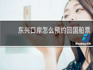东兴口岸怎么预约回国船票