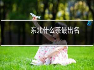 东北什么茶最出名