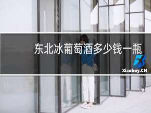 东北冰葡萄酒多少钱一瓶