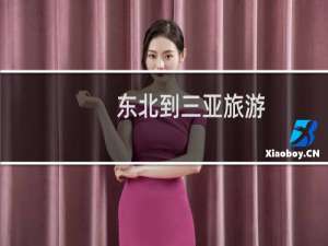 东北到三亚旅游
