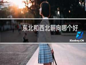 东北和西北朝向哪个好
