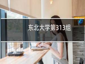 东北大学第313组(国家专项)有哪些专业 招生多少人
