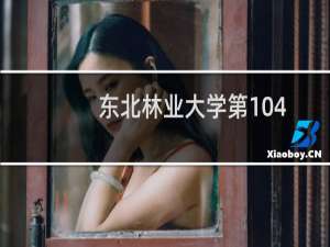 东北林业大学第104组有哪些专业 招生多少人