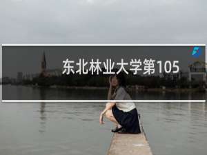 东北林业大学第105组有哪些专业 招生多少人