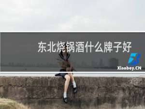 东北烧锅酒什么牌子好