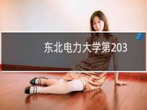 东北电力大学第203组(中外合作办学或国际项目)有哪些专业 招生多少人